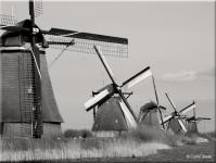 Molens