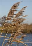 Landschap & natuur